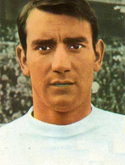 Vicente Miera