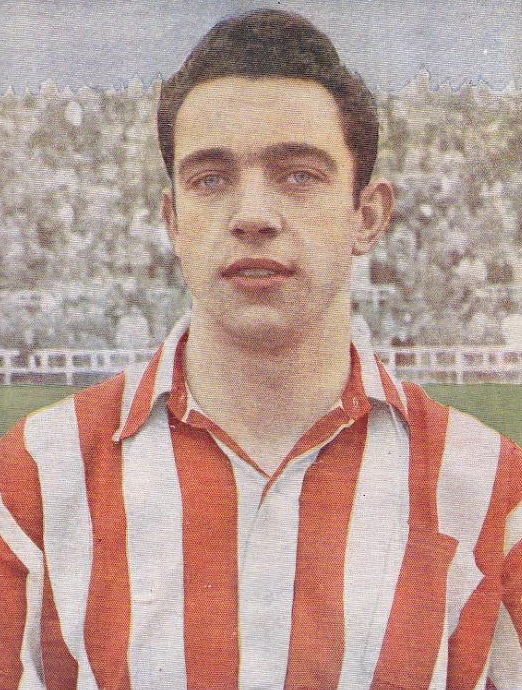 José Maguregui