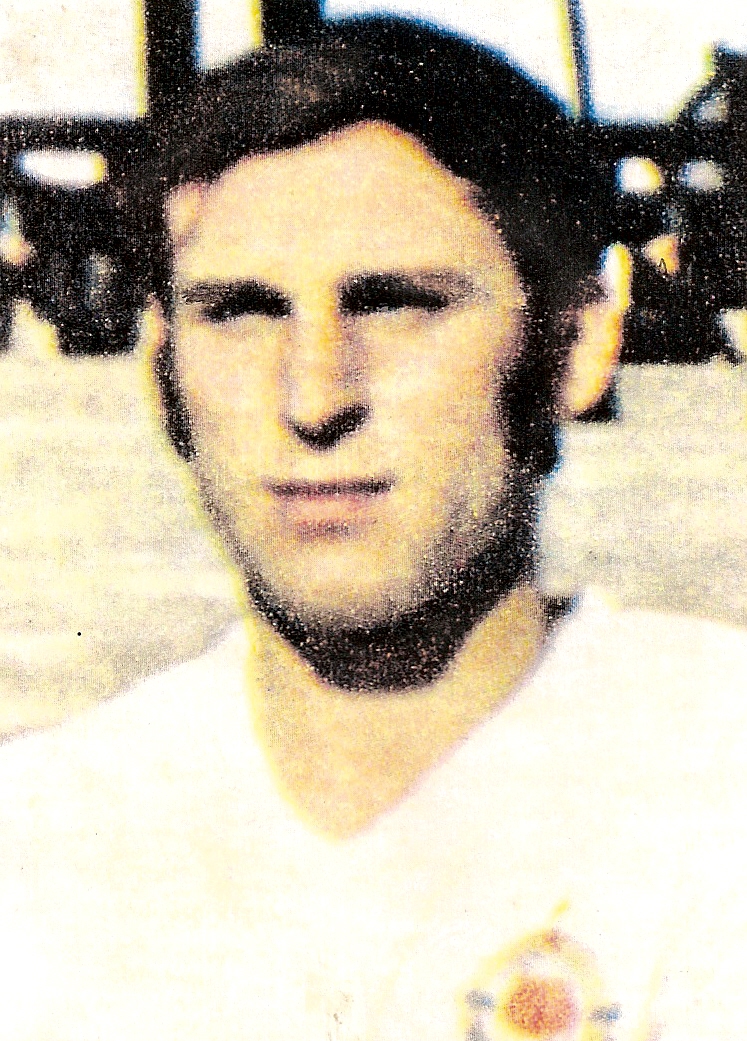 Dragan Džajić