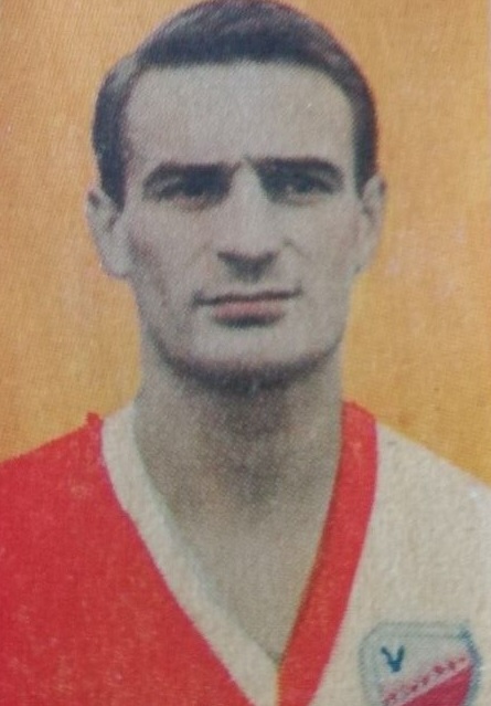 Svinjarević