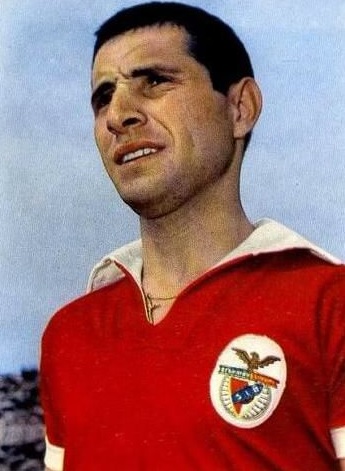 Fernando Cruz