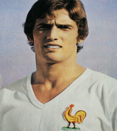 Henri Michel