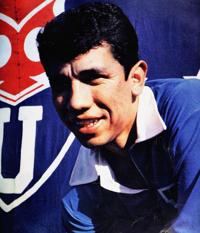 Roberto Hodge