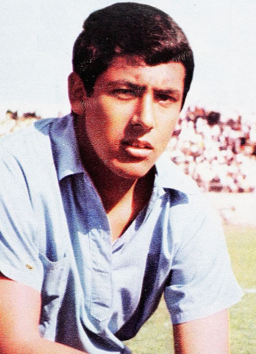 Luis Pino