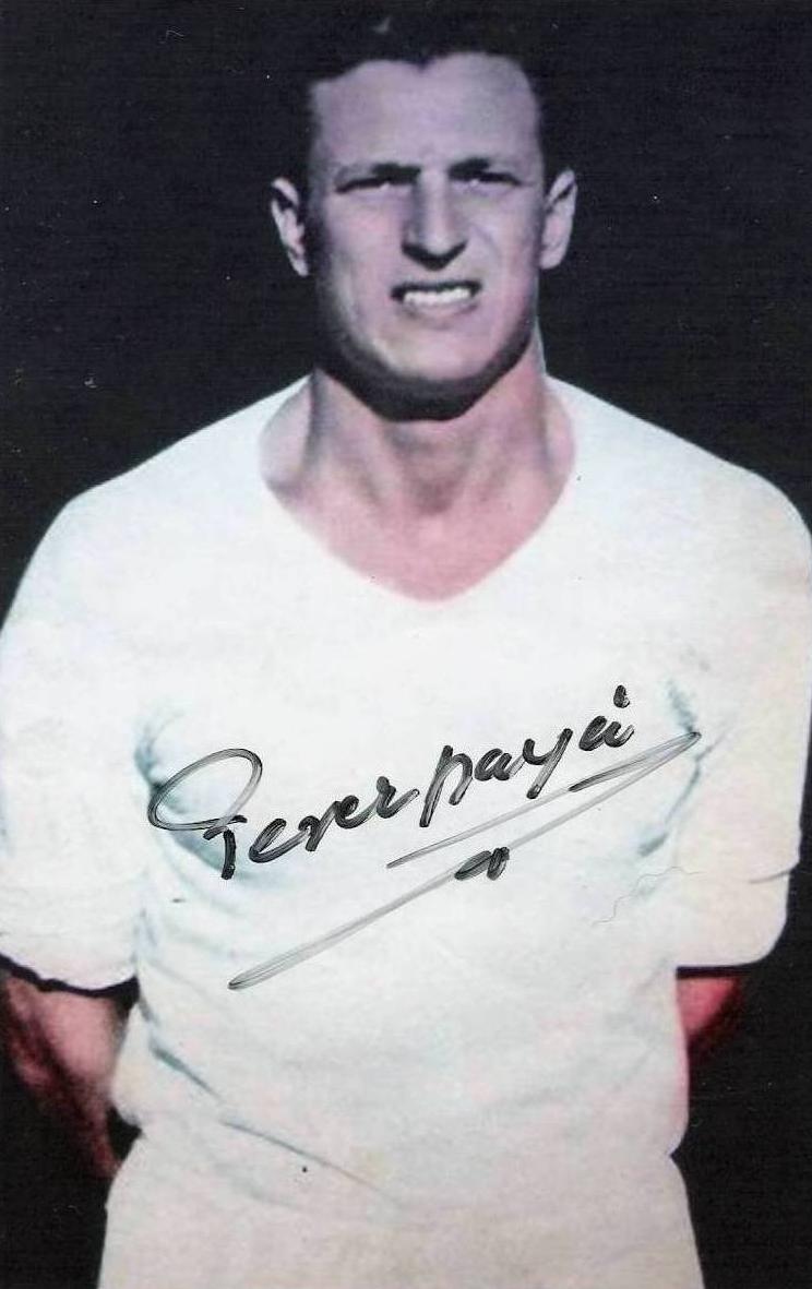 Pérez-Payá