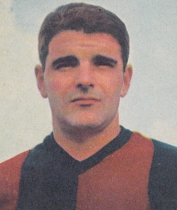 Marino Perani