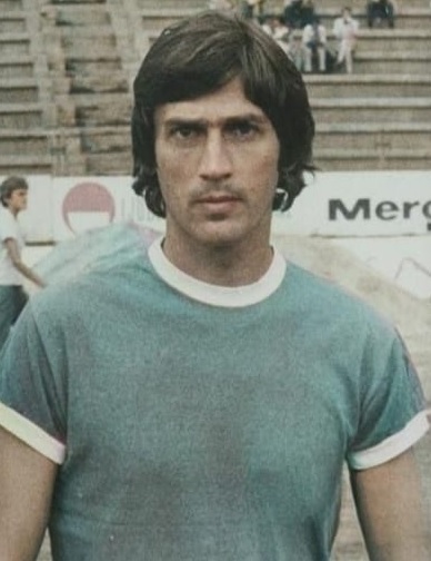 Vili Ameršek