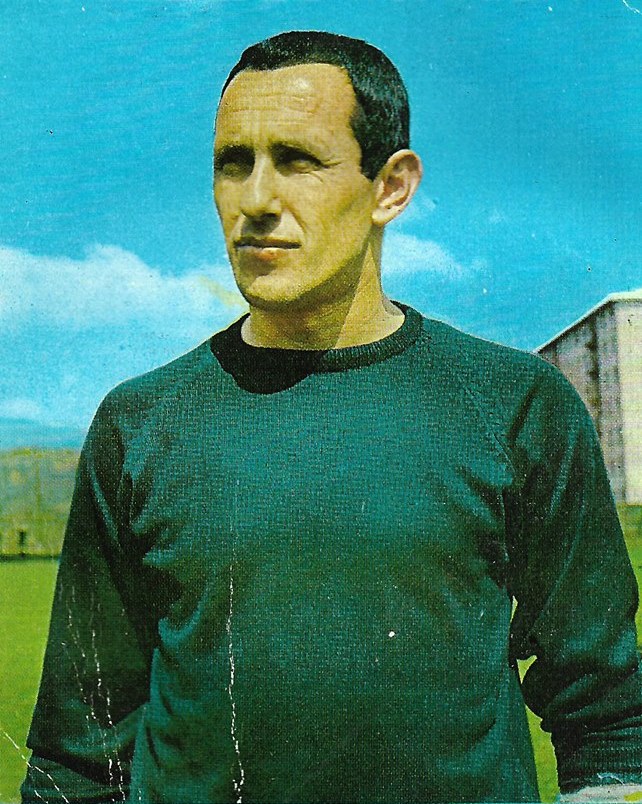 Ciko Radović