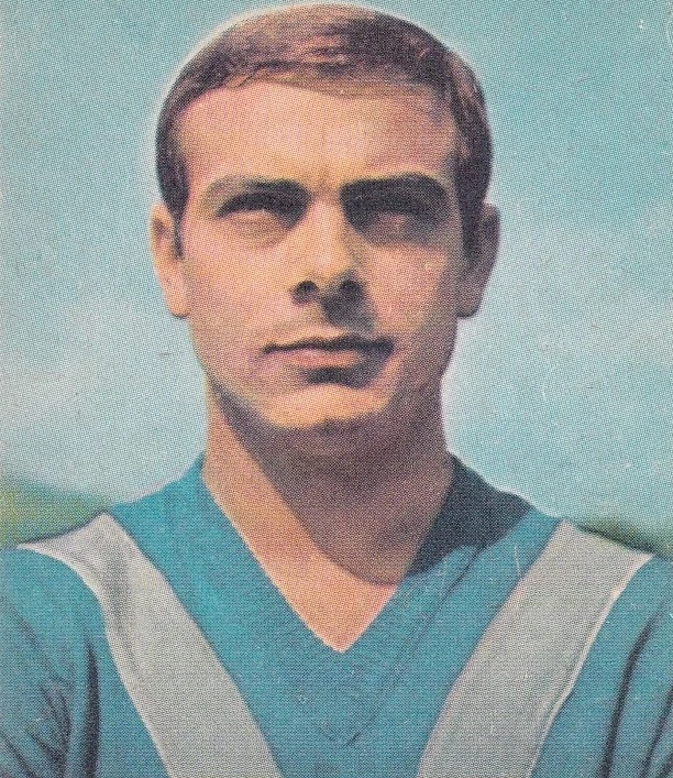 Mauro Nardoni