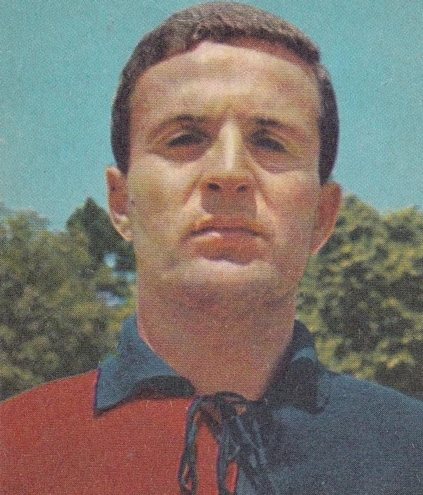 Raffaello Vescovi