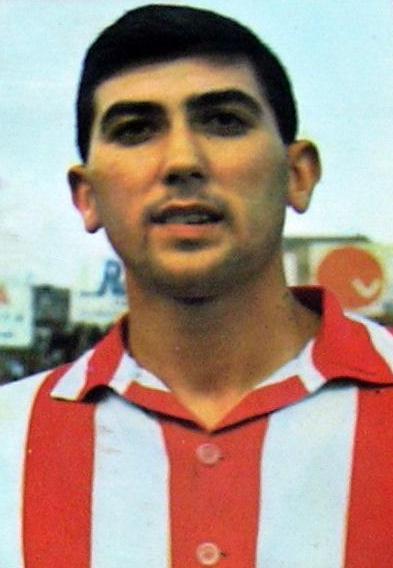 Nicolás Estéfano