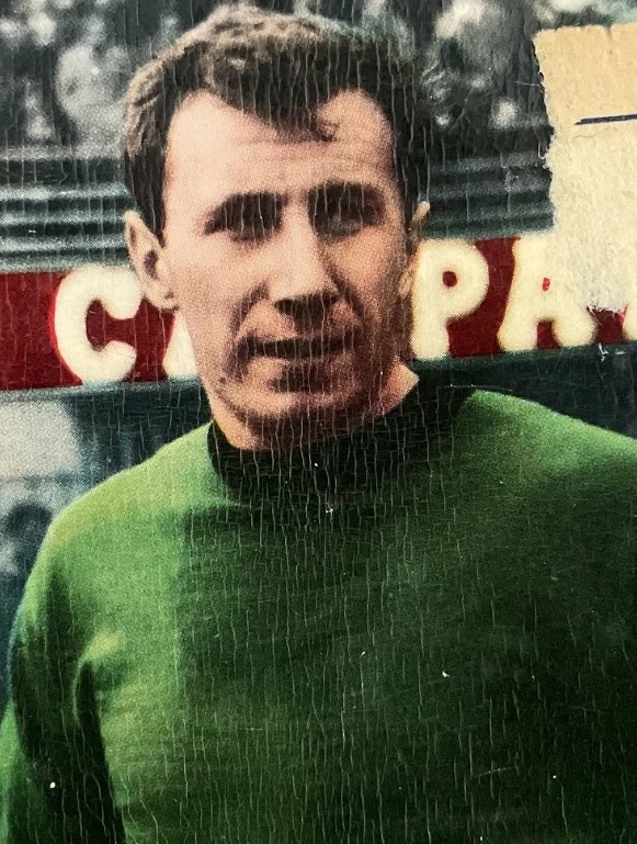 Gino Raffin