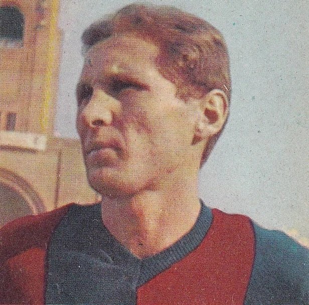 Carlo Furlanis