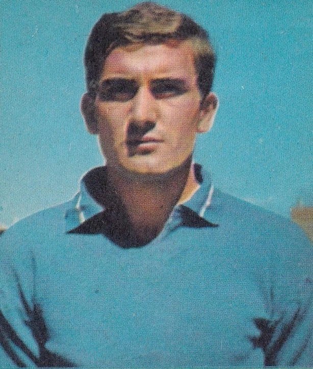 Luigi Pogliana